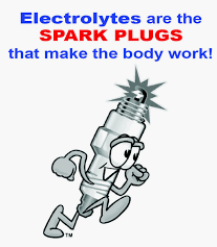 DIY Sports Drink and Why Electrolytes are Important