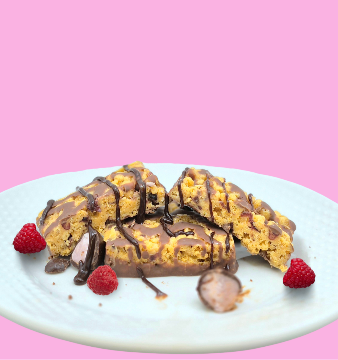 Raspberry Dark Chocolate Squares - ProtiDiet